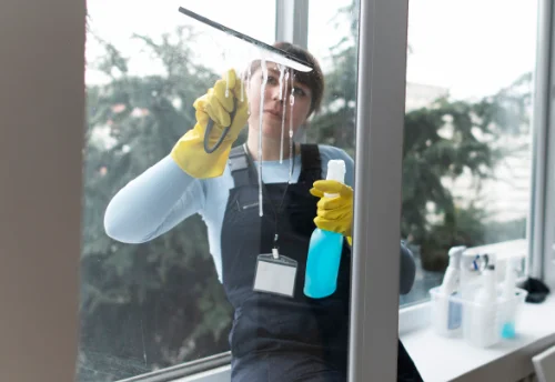 Nettoyage de vitres intérieures et extérieures à Serbonnes